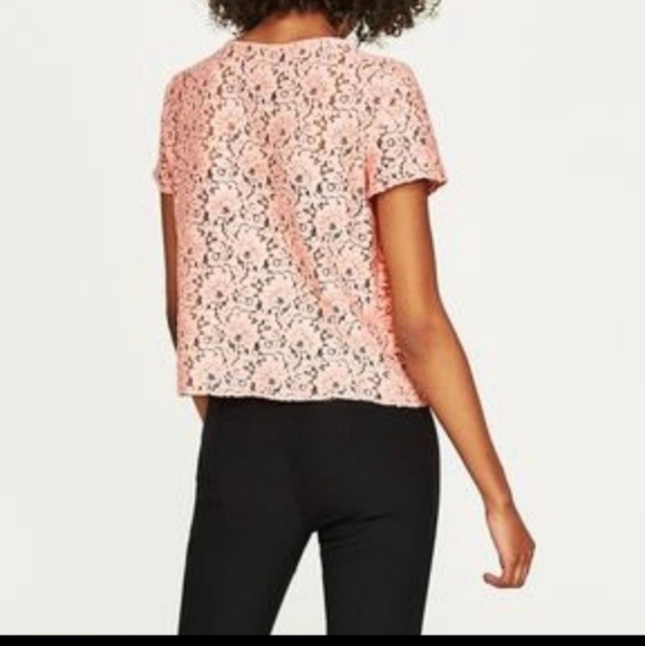 Zara basics tierred lacey blouse office career wear - Picture 5 of 5